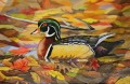pato mandarín en otoño aves